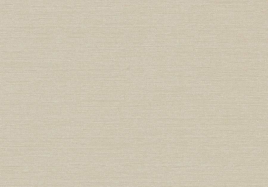 Venue 5th Edition by DeNovo Wall DNVS533