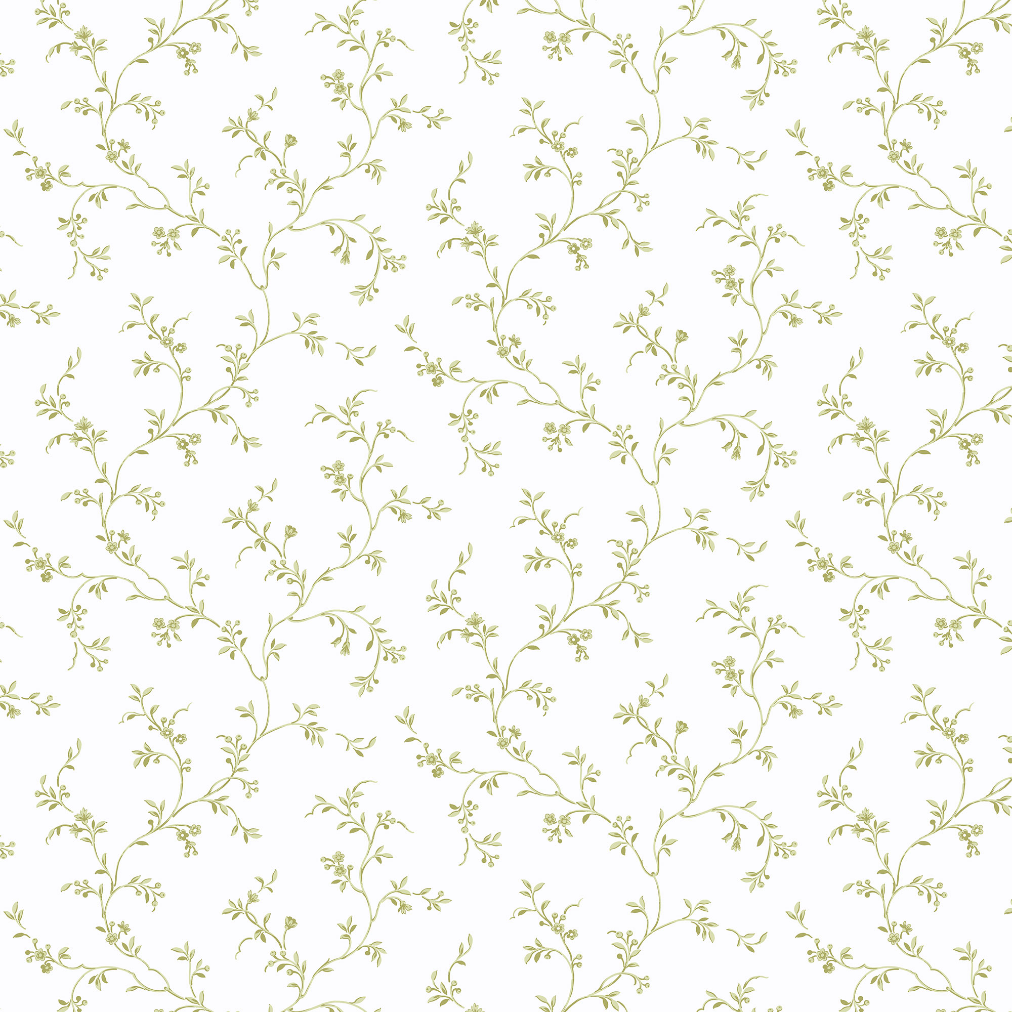Pretty Florals by Norwall PF38112