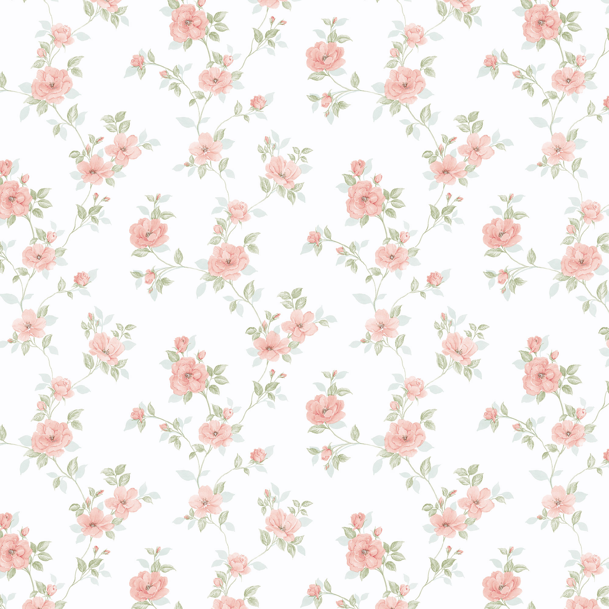 Mini Rose Trail