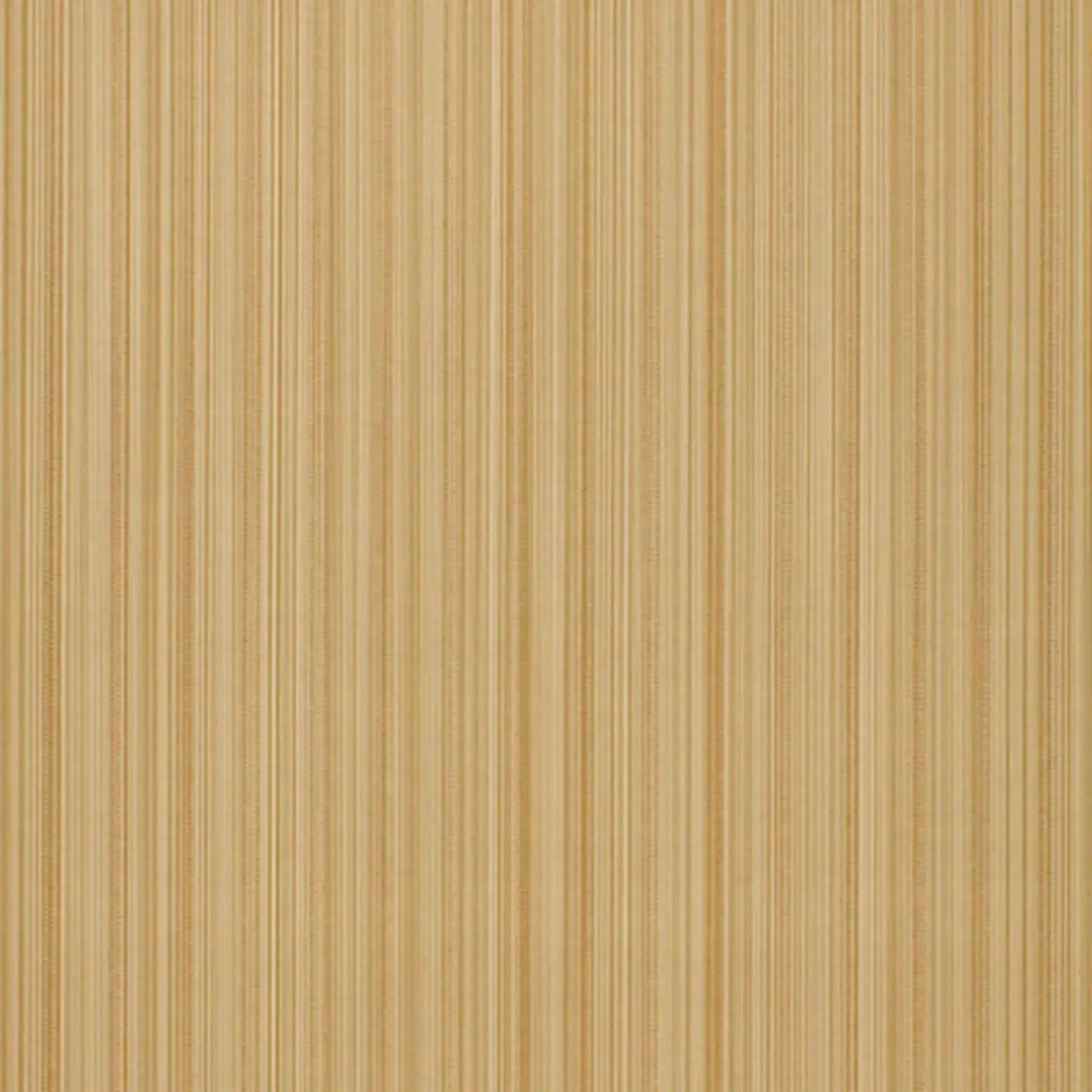 Abstract and Strie by Schumacher 5002433