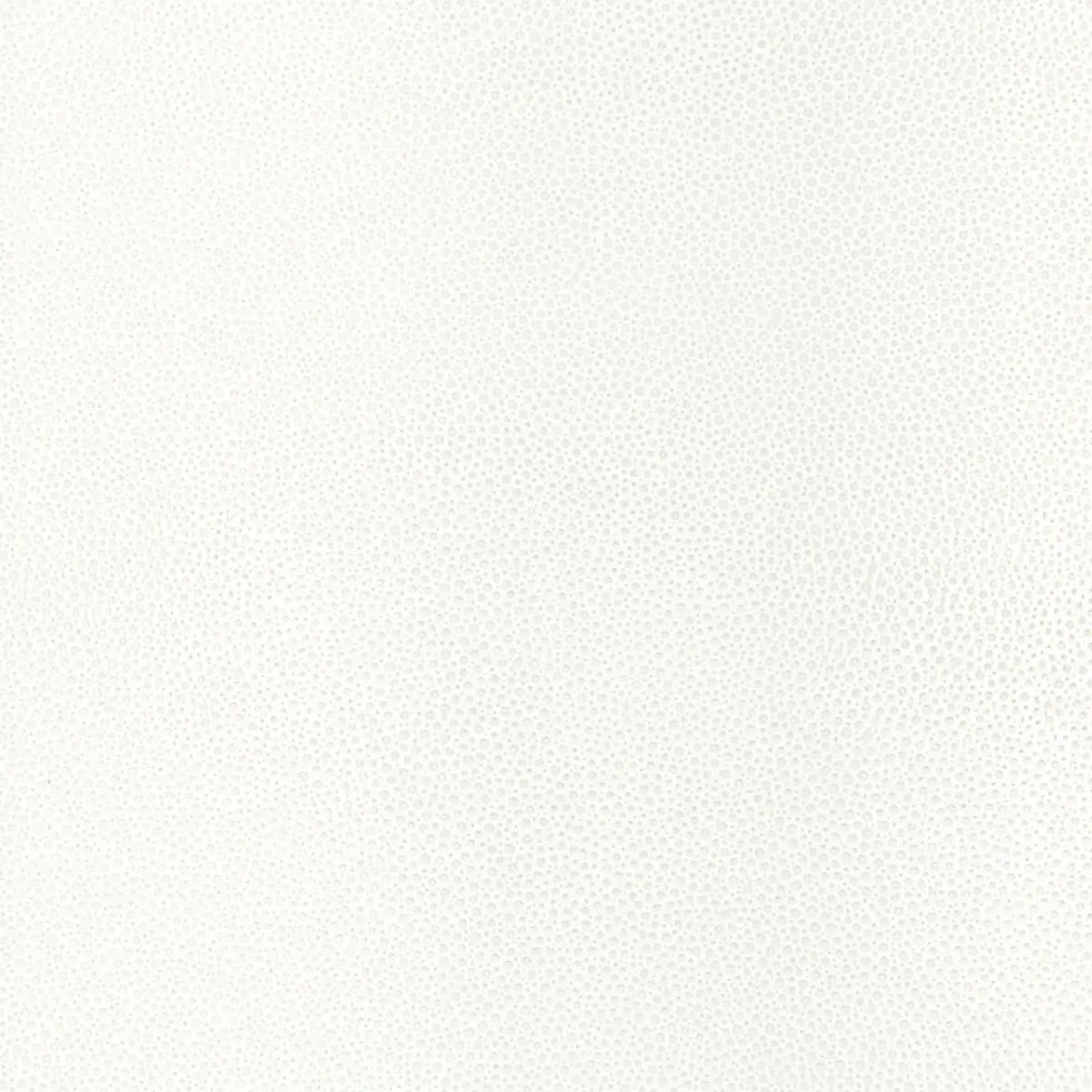 Abstract and Strie by Schumacher 5005850