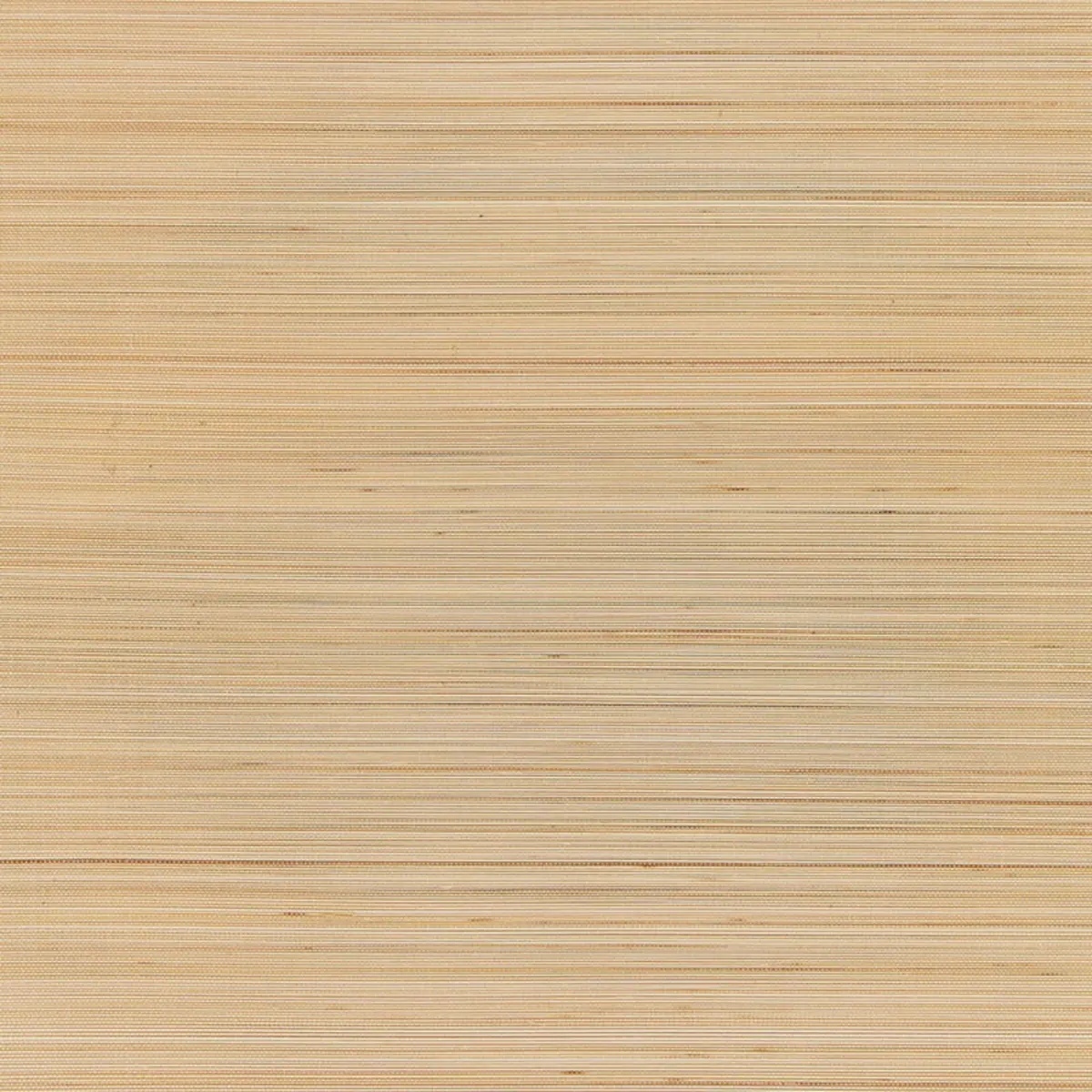 Abstract and Strie by Schumacher 5006400