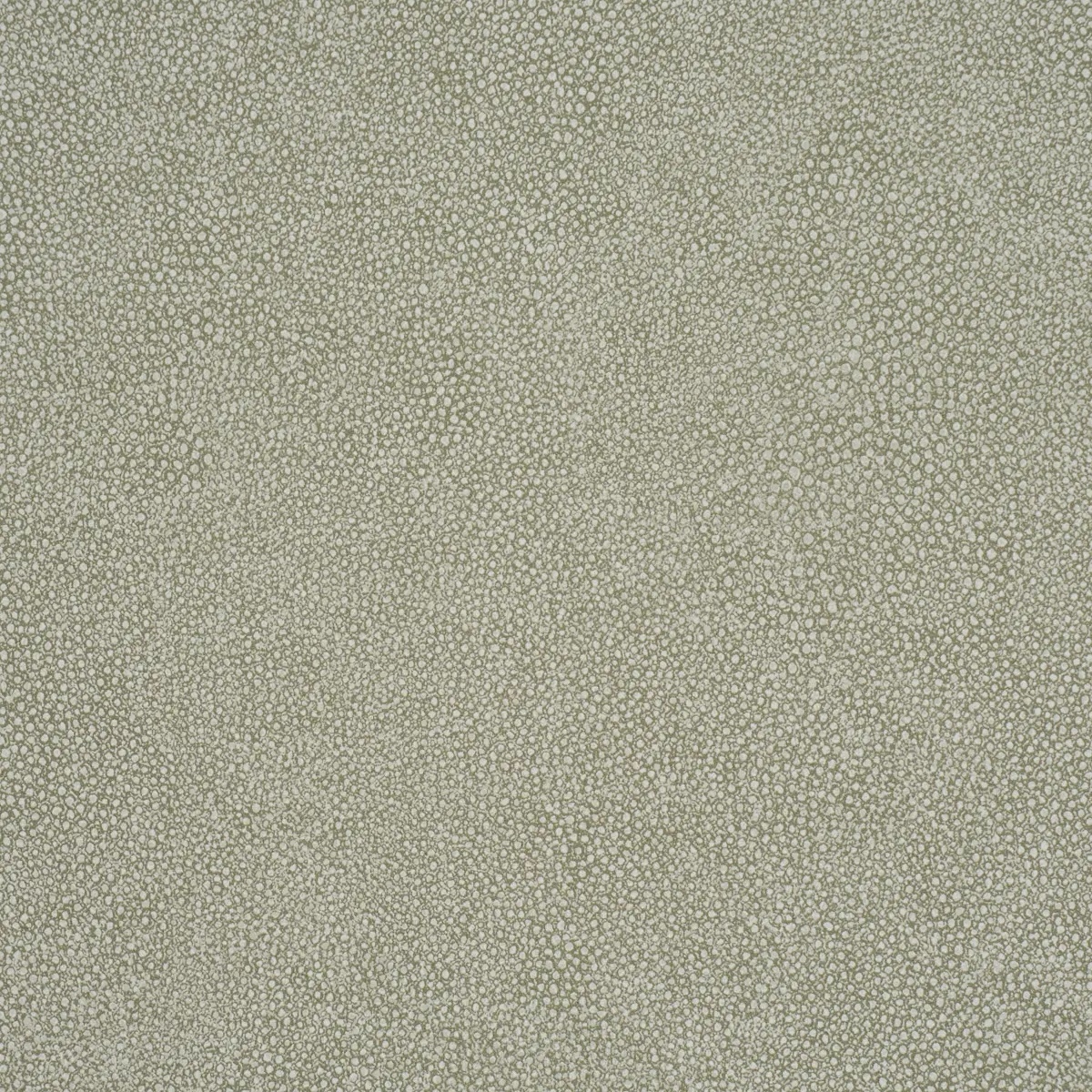 Abstract and Strie by Schumacher 5017260