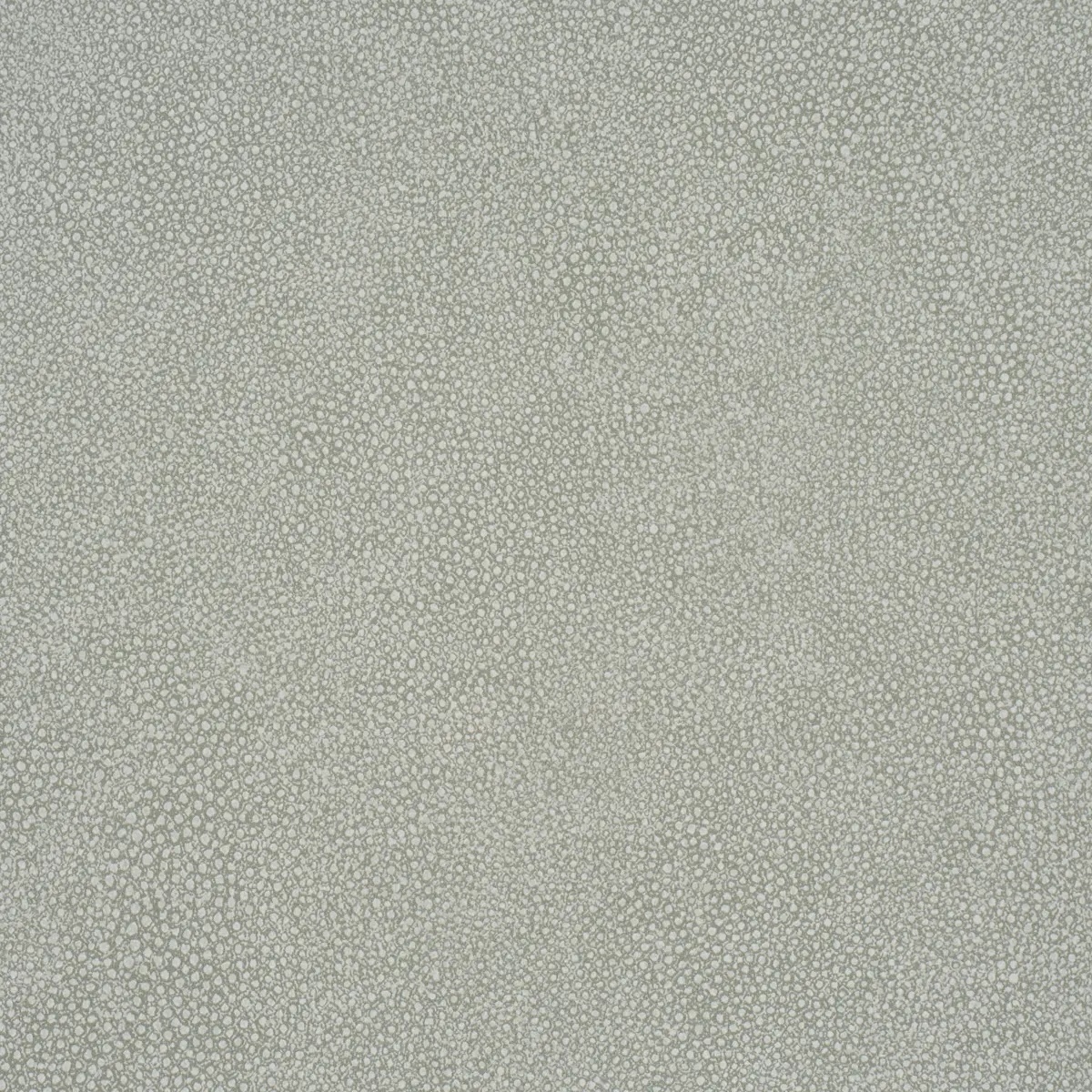 Abstract and Strie by Schumacher 5017261