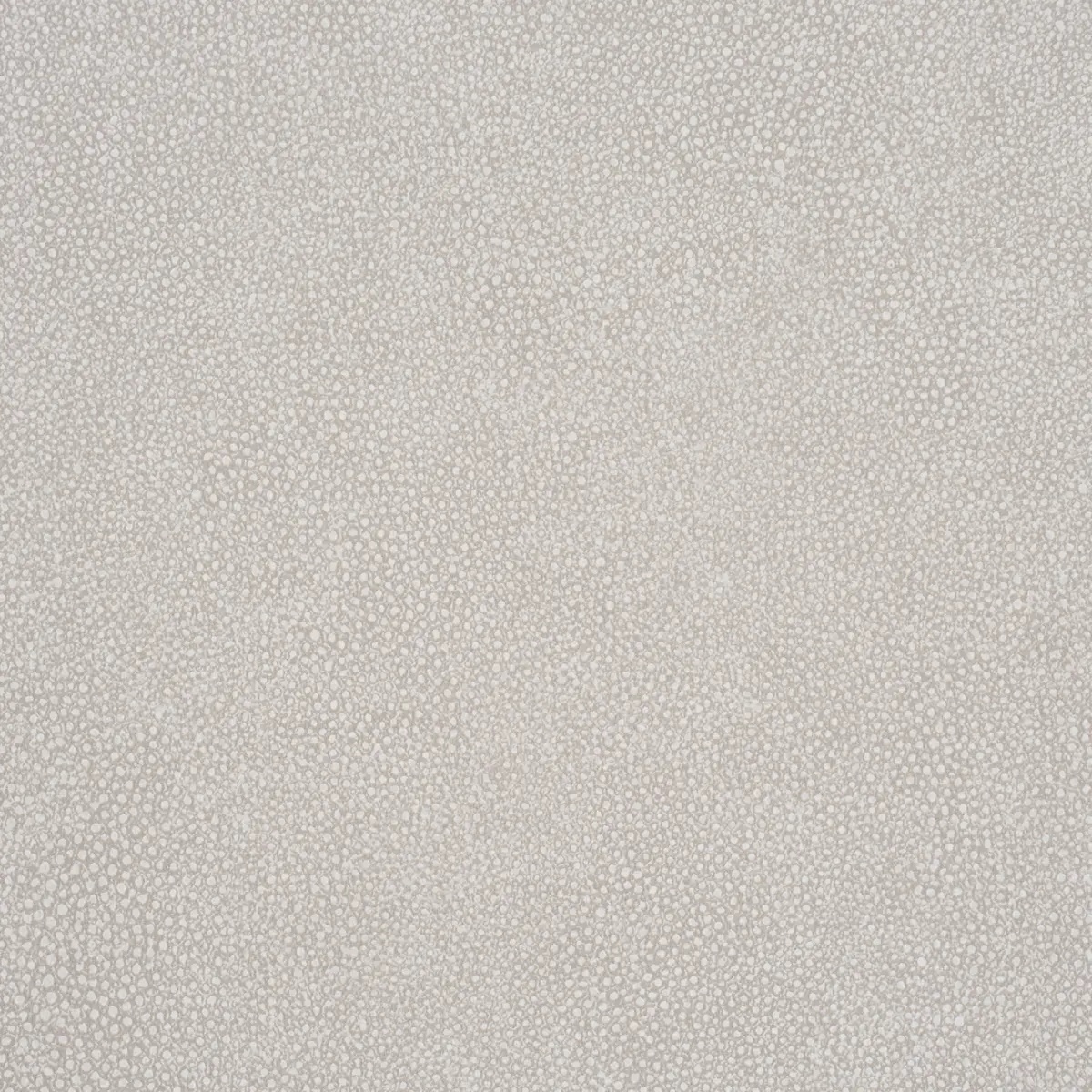 Abstract and Strie by Schumacher 5017262