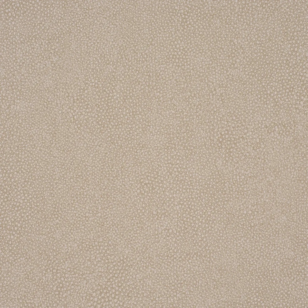 Abstract and Strie by Schumacher 5017263