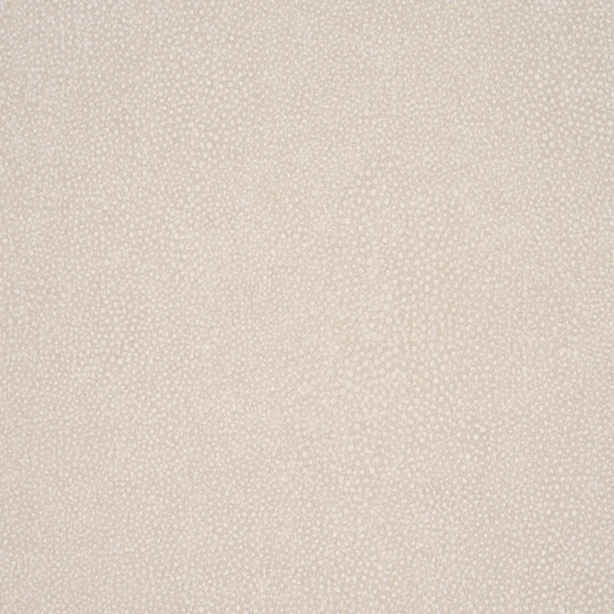 Abstract and Strie by Schumacher 5017264