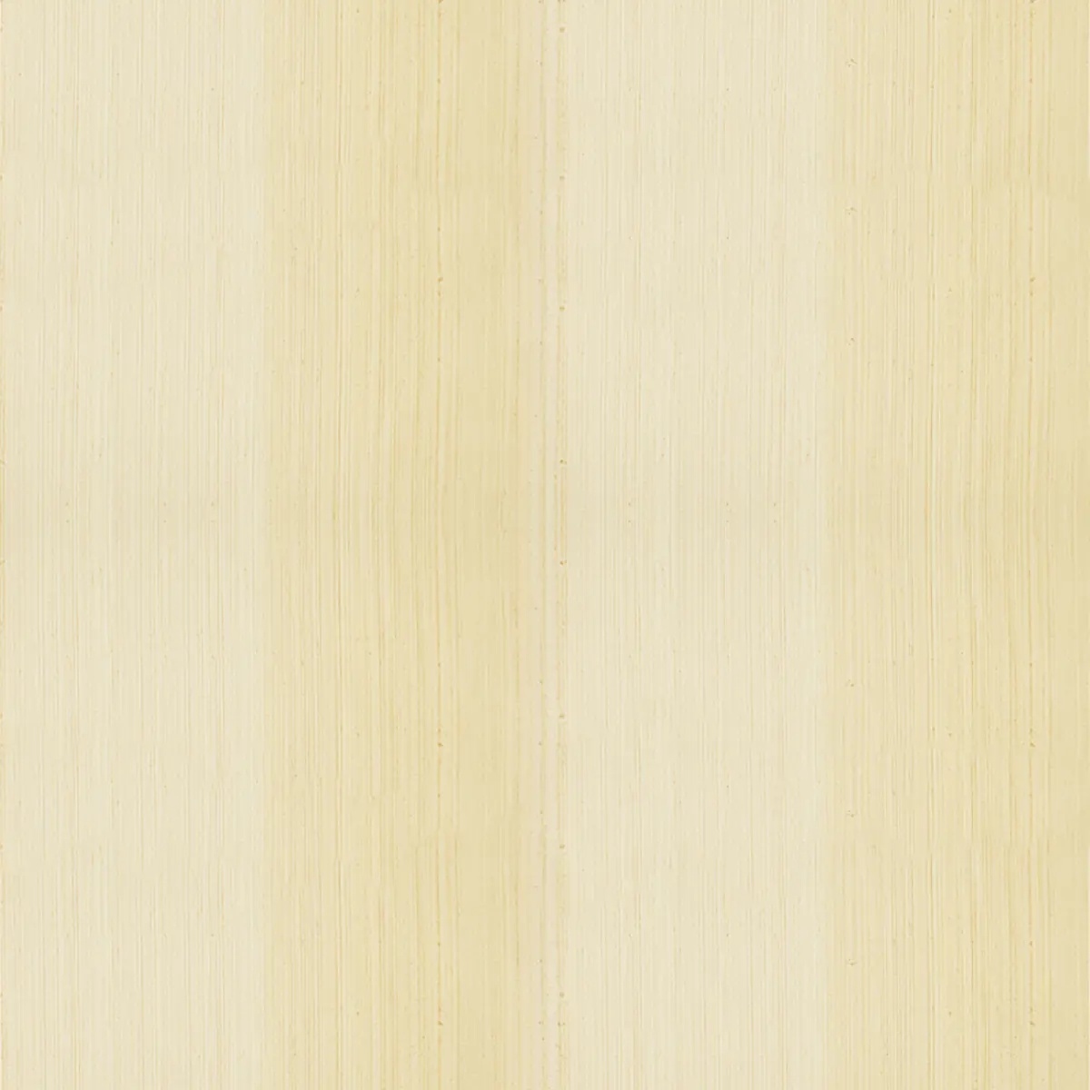 Abstract and Strie by Schumacher 529870