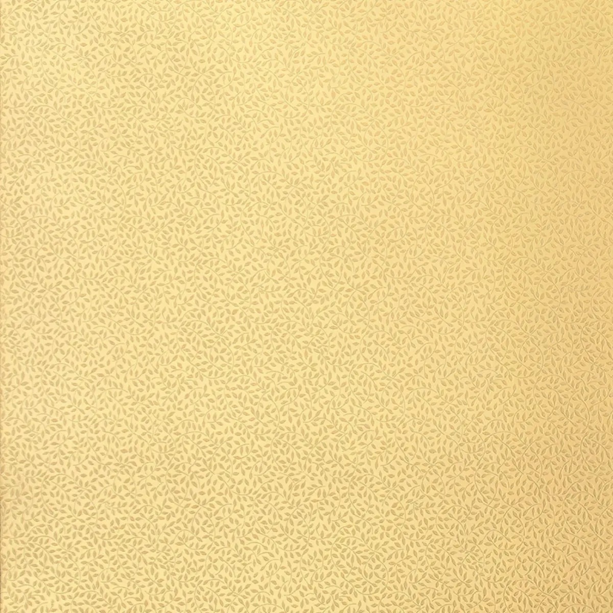 Celano Vine in Light Gold