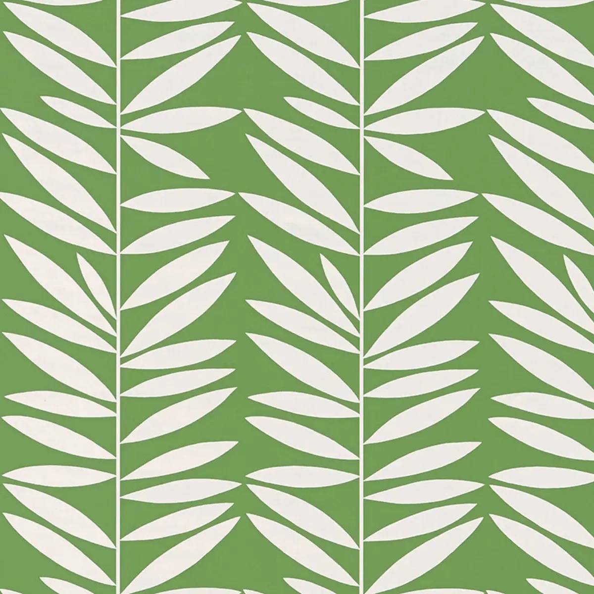 Leaf Stripe in leaf