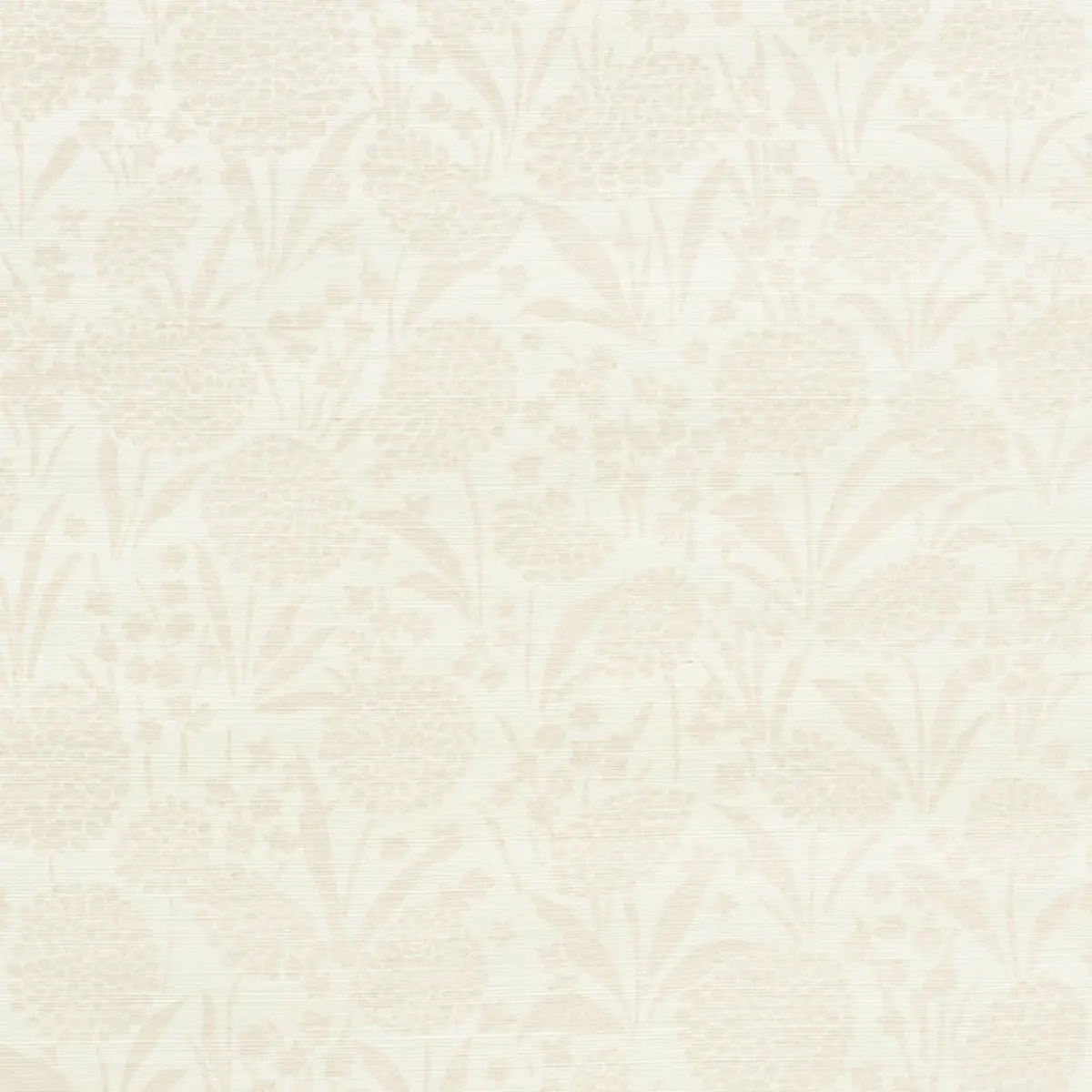 Chrysanthemum Sisal in blush