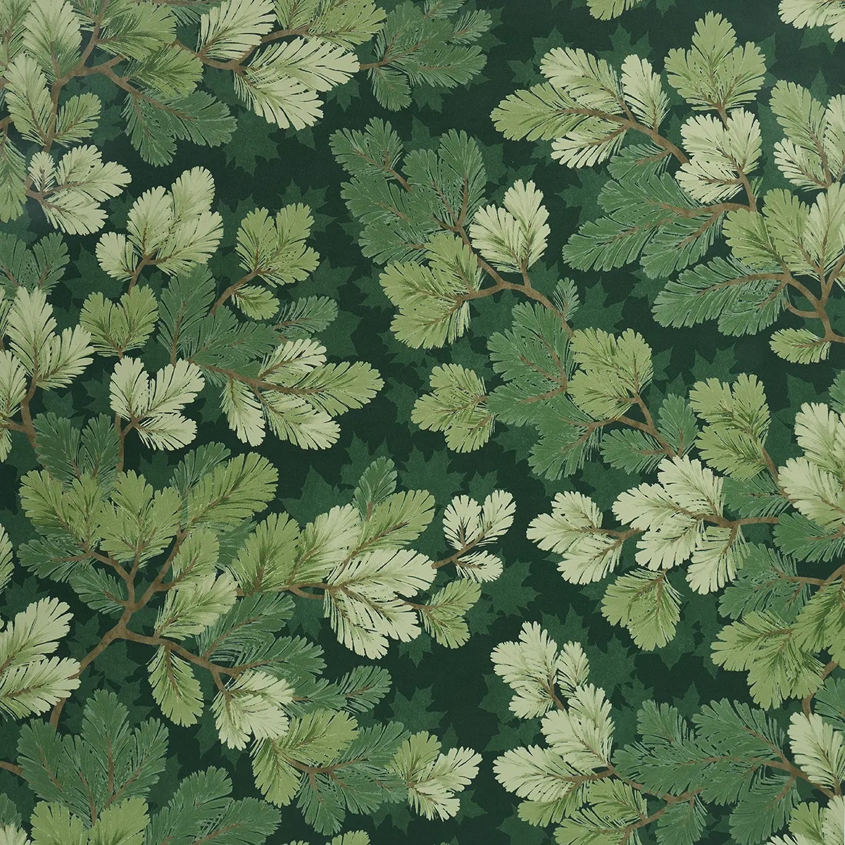 Covey Hedge in forest