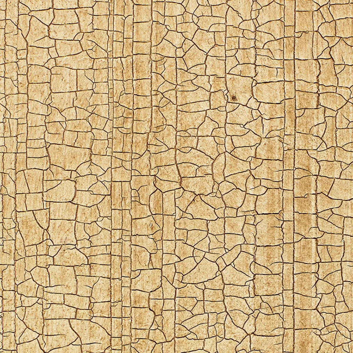 Masaccio Ground in Bisque