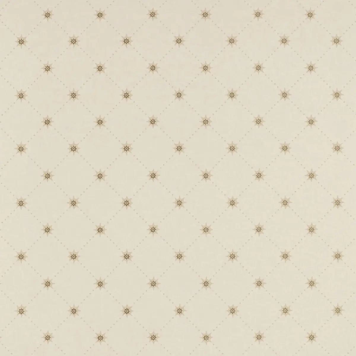 Cooper Star in Alabaster