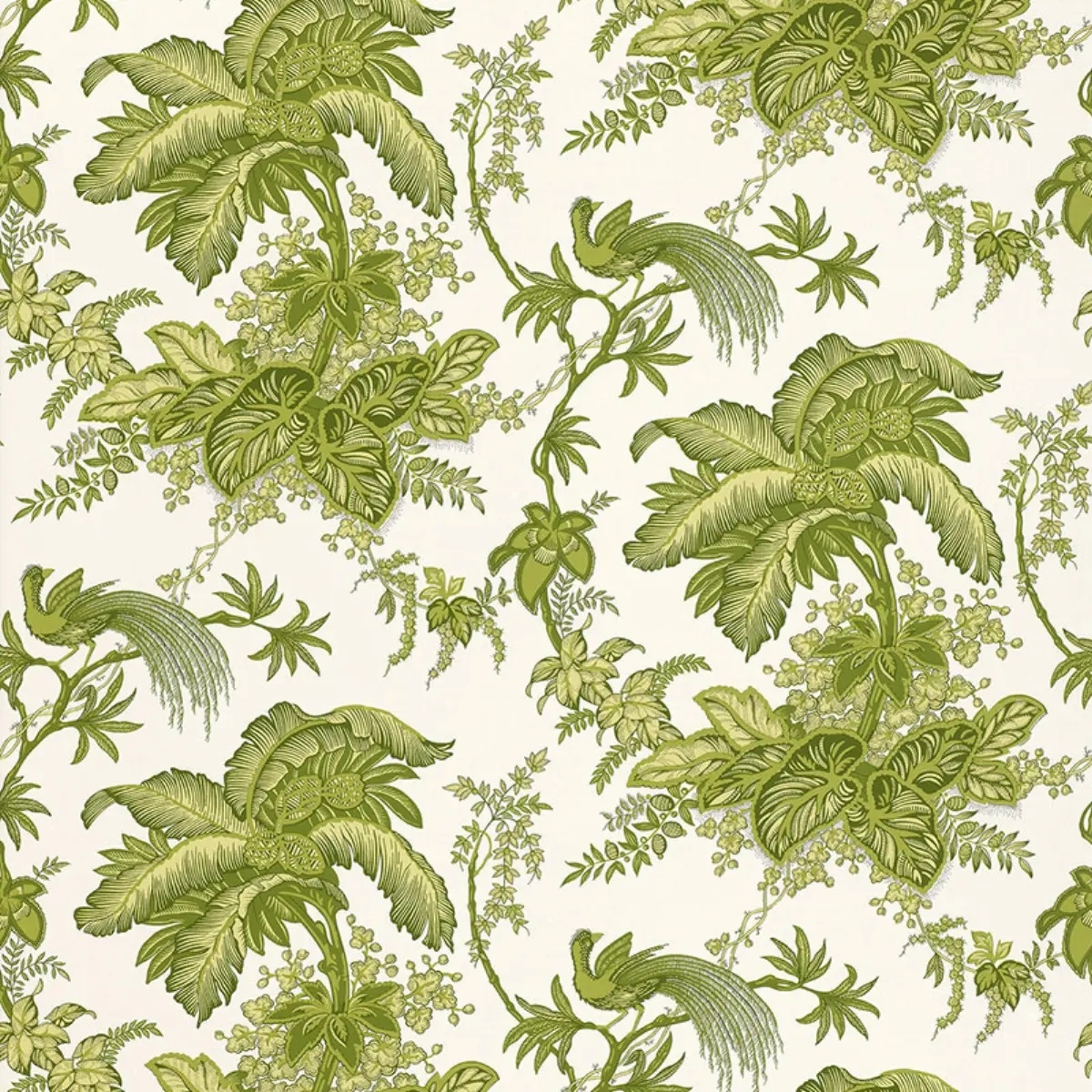 Coconut Grove in leaf