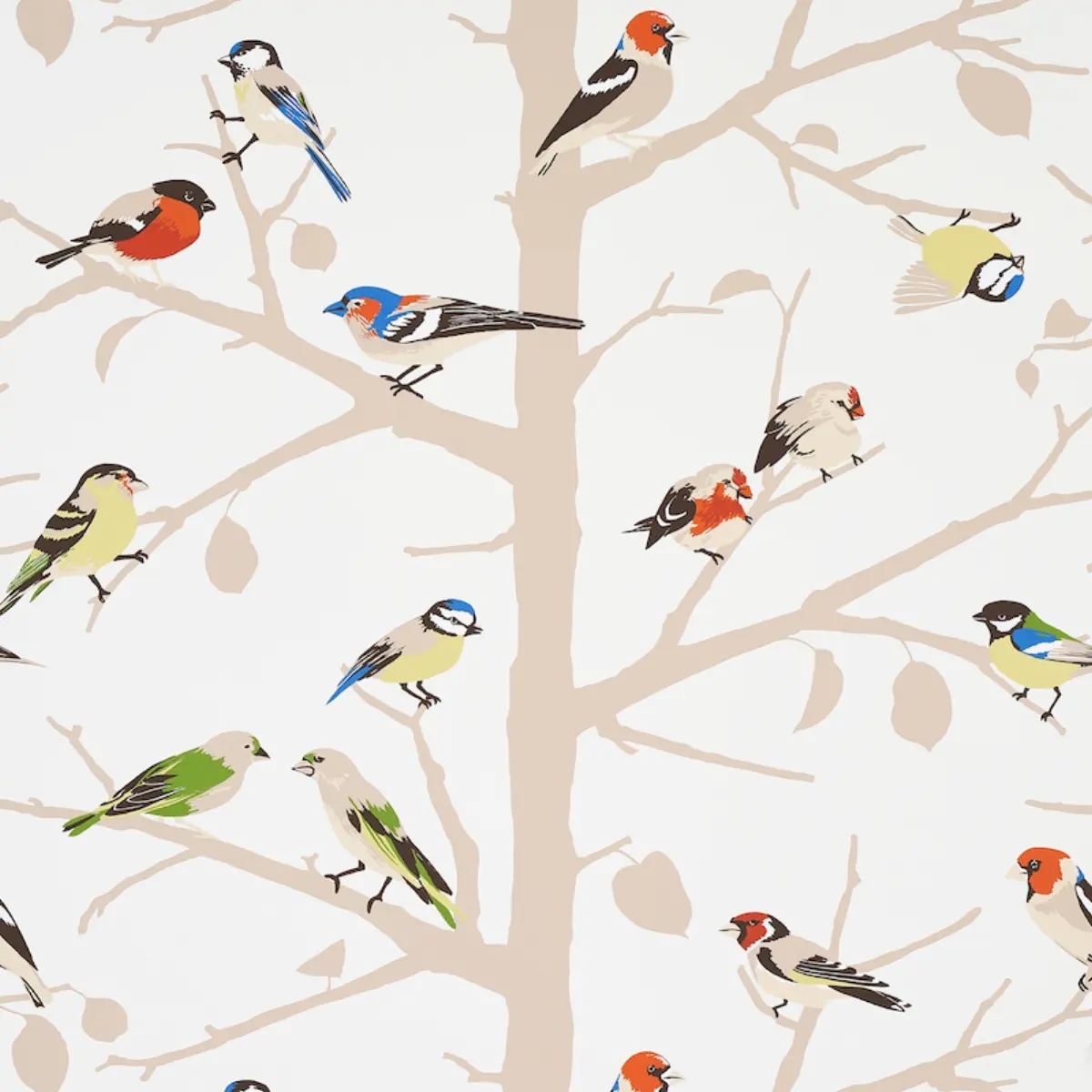 Animal Prints and Patterns by Schumacher 5005031