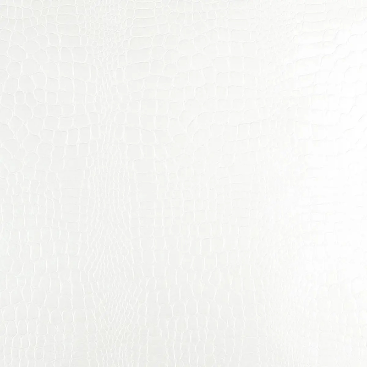 Animal Prints and Patterns by Schumacher 5005830