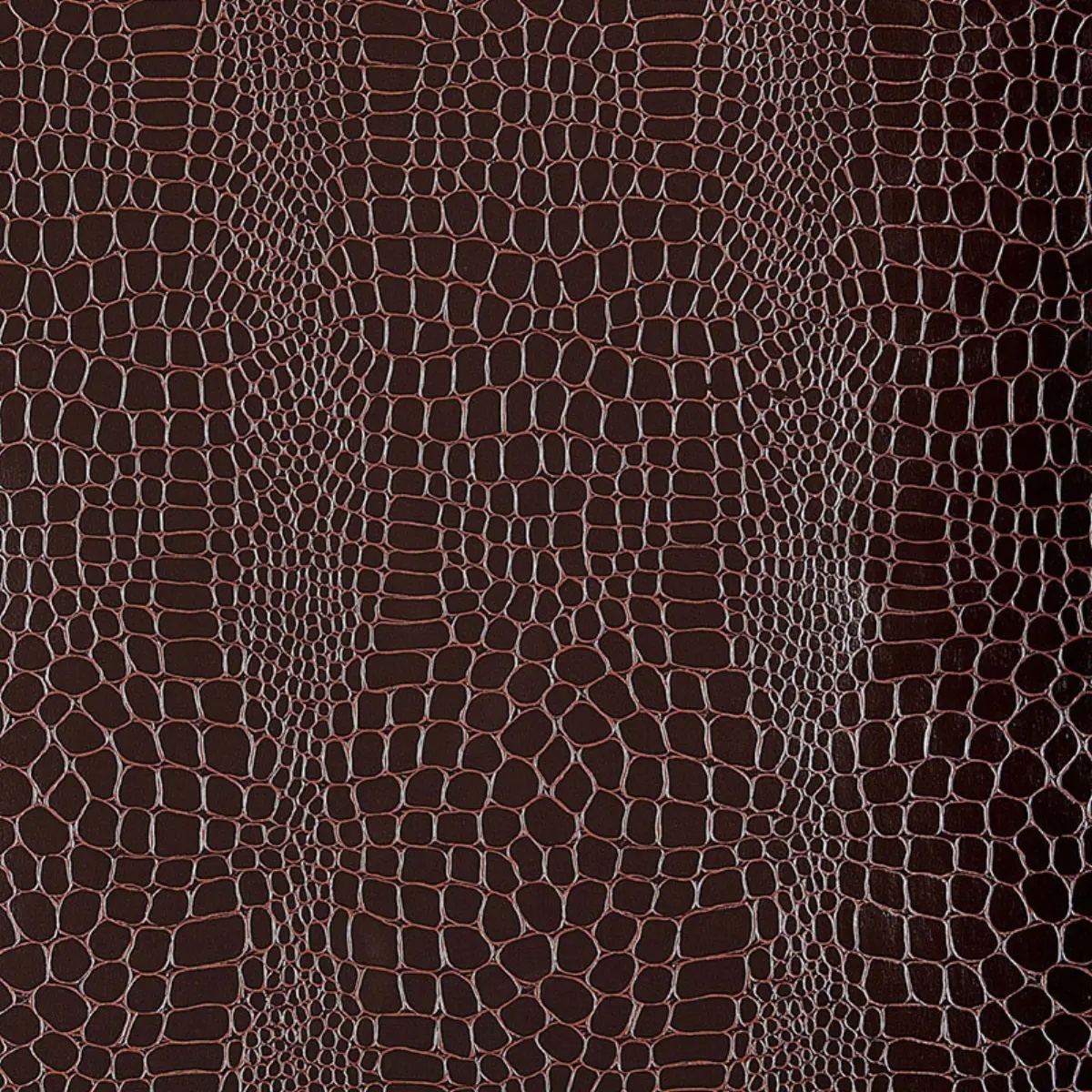 Animal Prints and Patterns by Schumacher 5005833