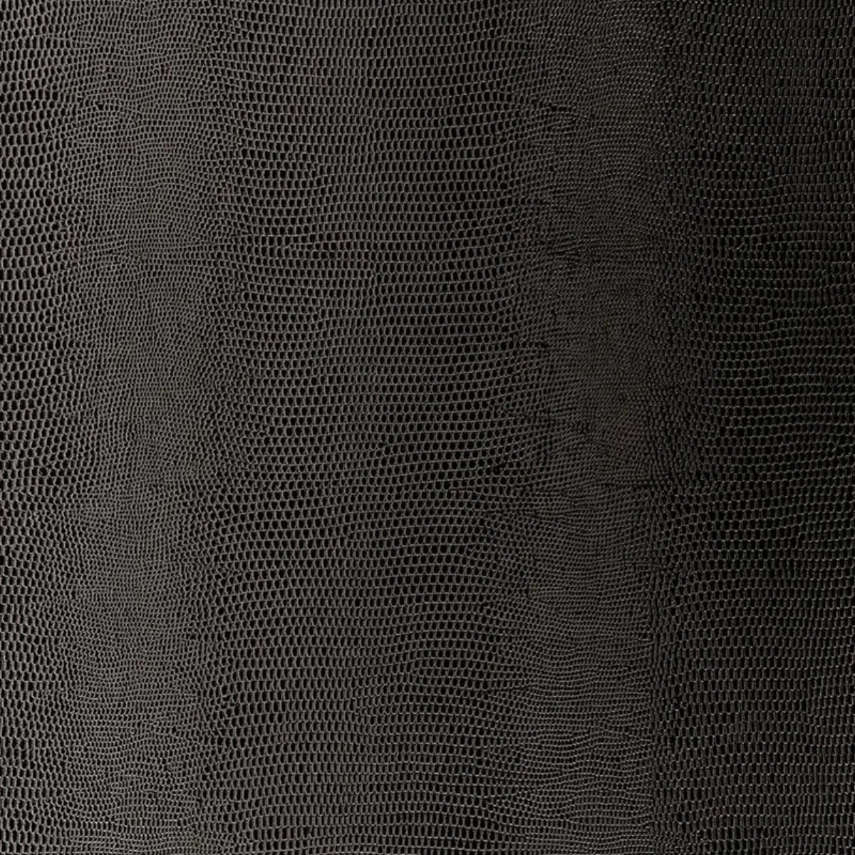 Animal Prints and Patterns by Schumacher 5005841