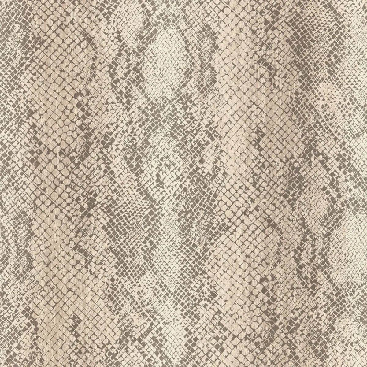 Animal Prints and Patterns by Schumacher 5006230