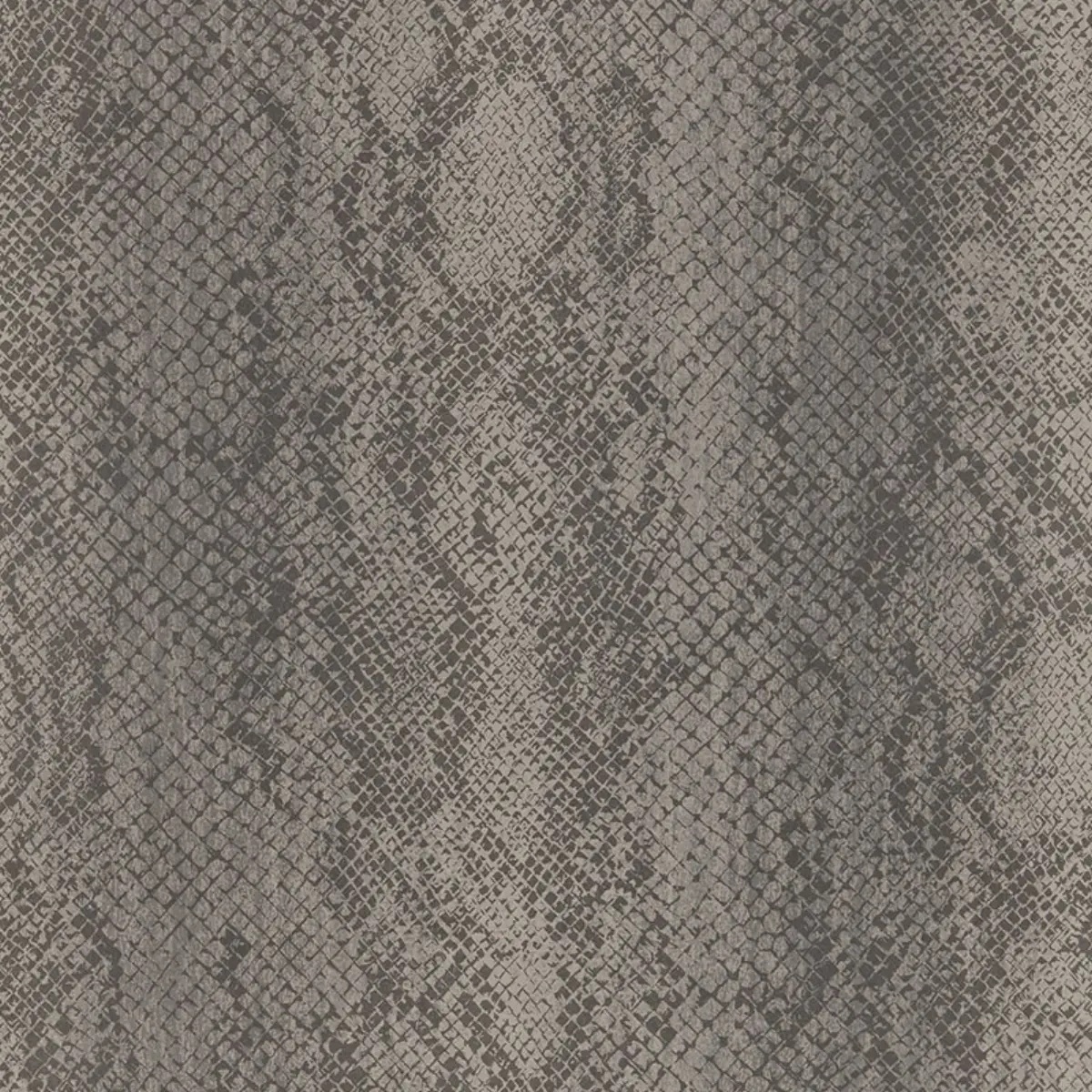 Animal Prints and Patterns by Schumacher 5006232