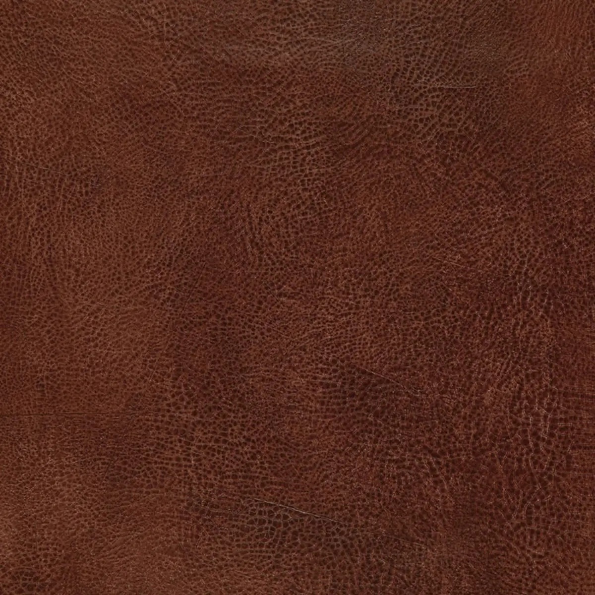Animal Prints and Patterns by Schumacher 5006260