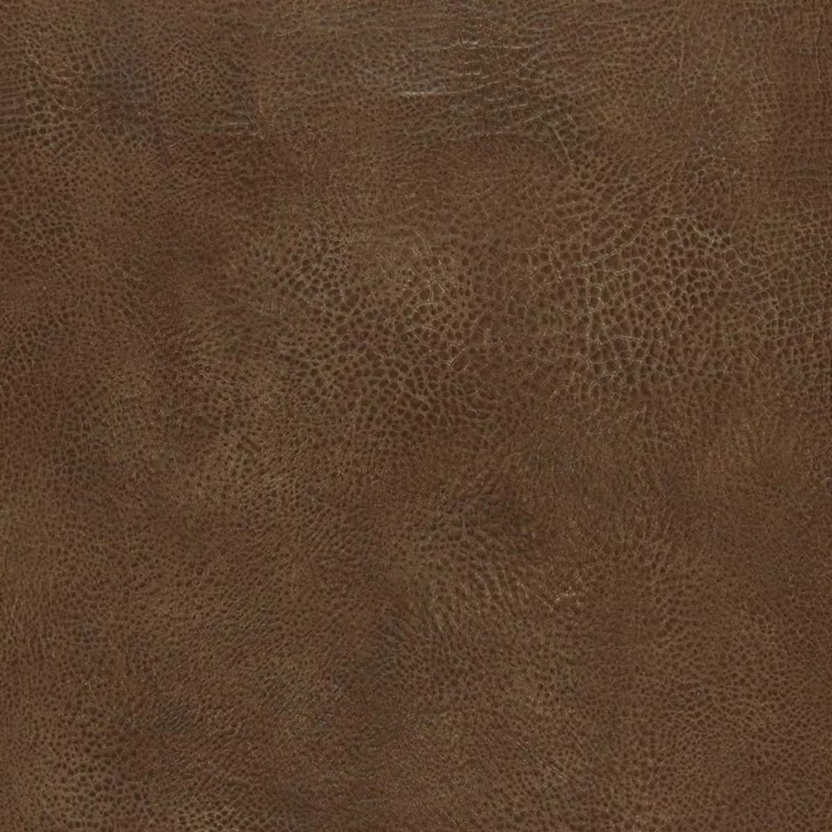 Animal Prints and Patterns by Schumacher 5006262