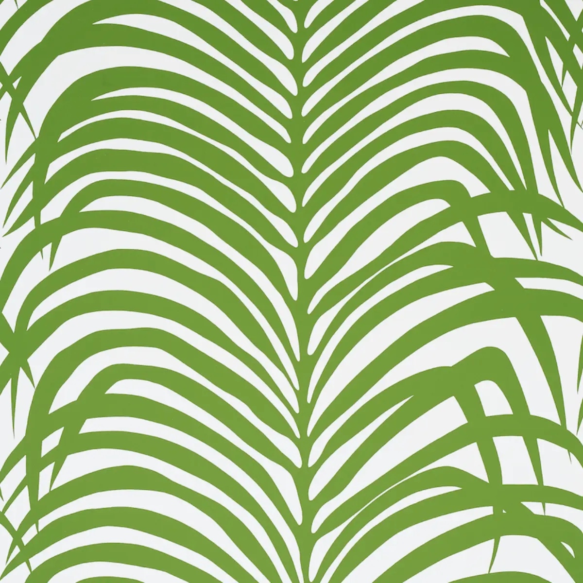 Animal Prints and Patterns by Schumacher 5006931