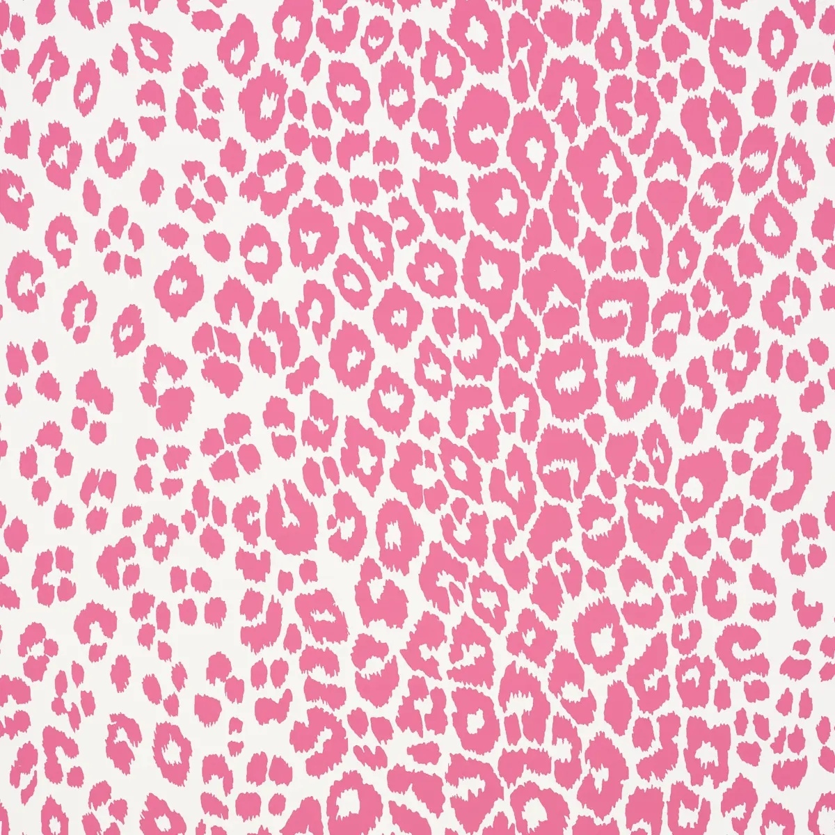 Animal Prints and Patterns by Schumacher 5007016