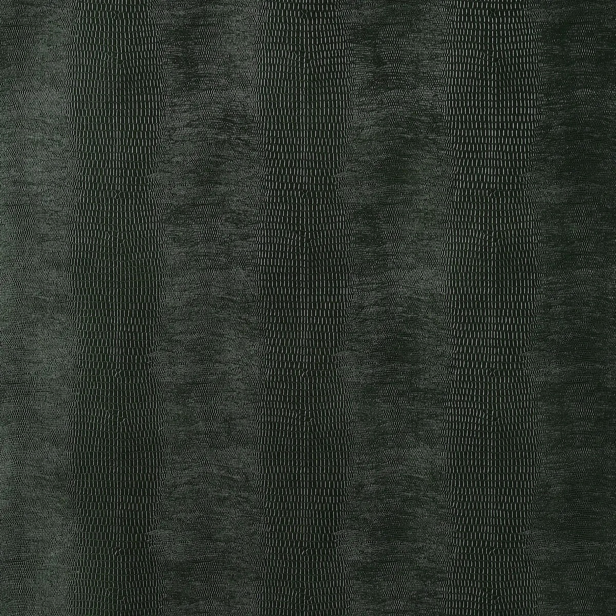 Animal Prints and Patterns by Schumacher 5007342