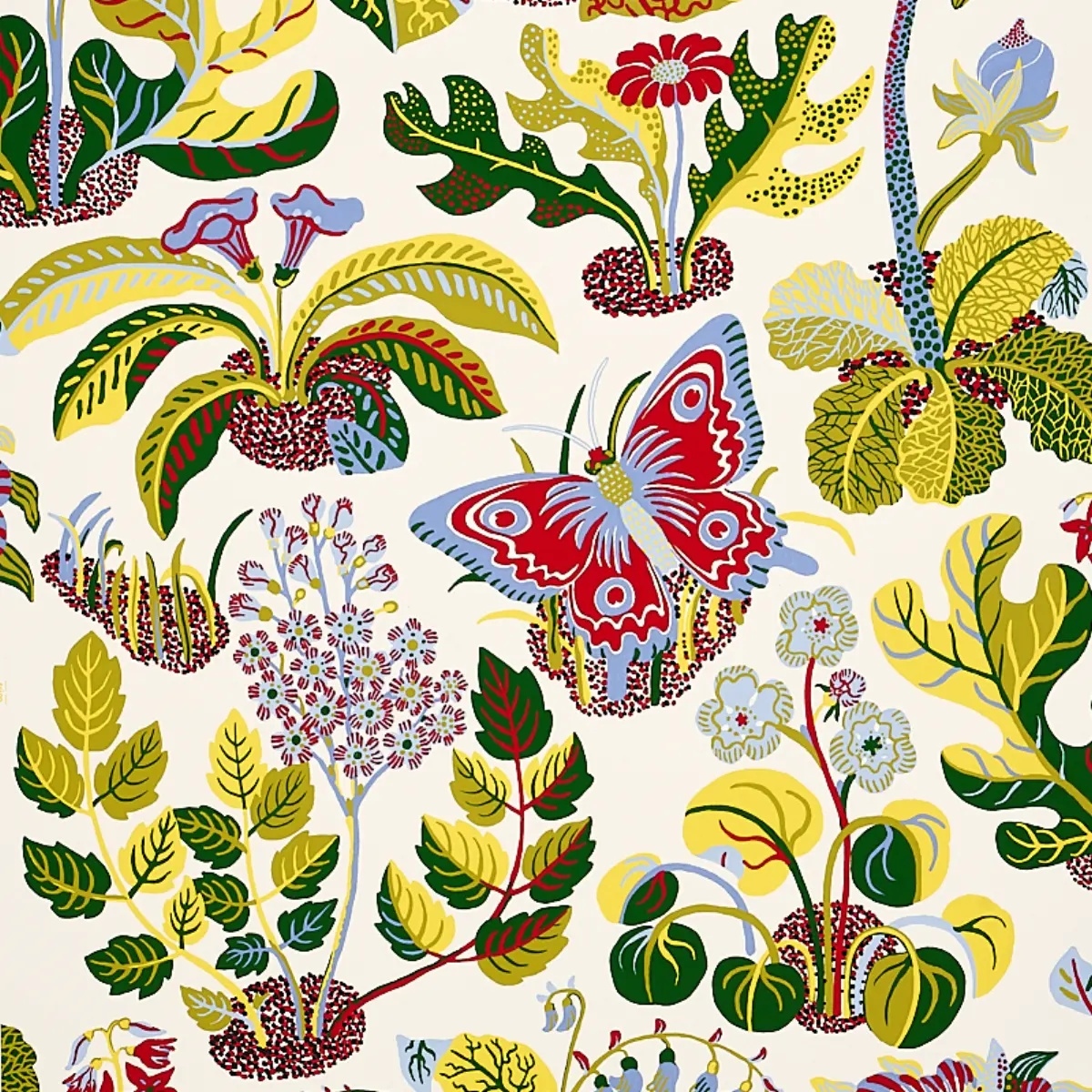 Exotic Butterfly in multi