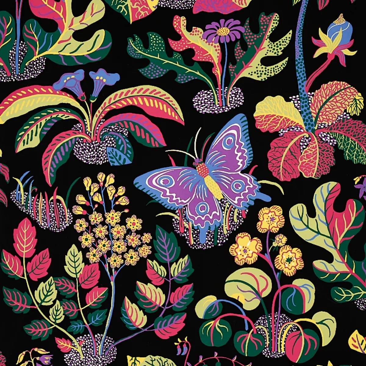 Exotic Butterfly in black