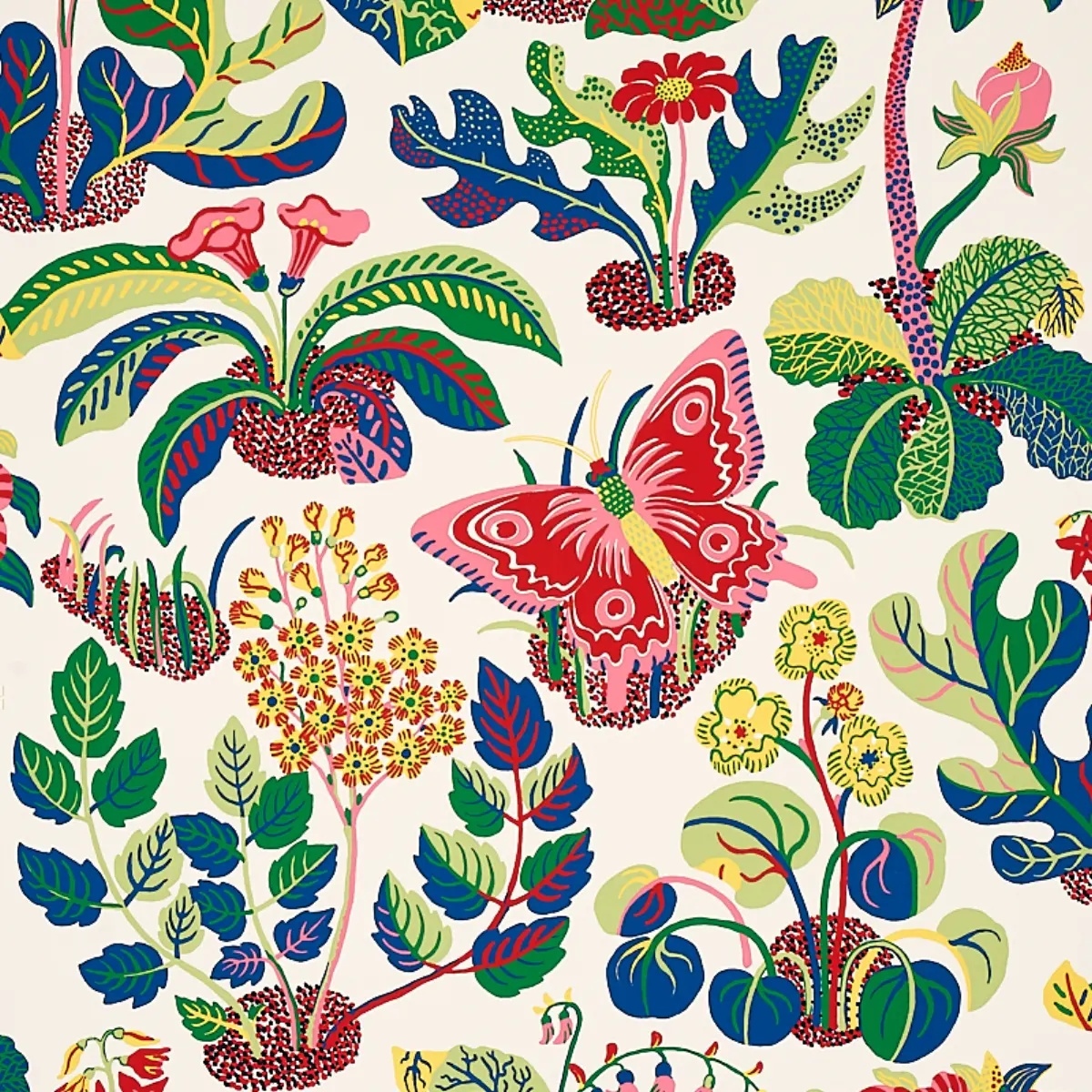 Exotic Butterfly in spring