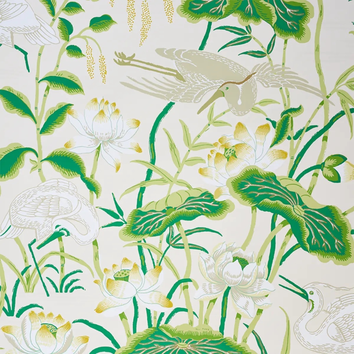 Lotus Garden in leaf