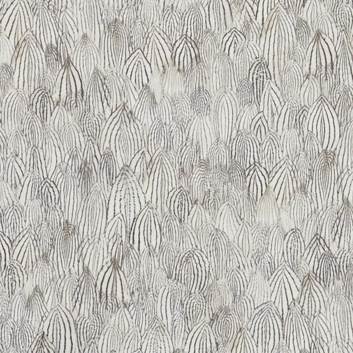 Feathers in zebra