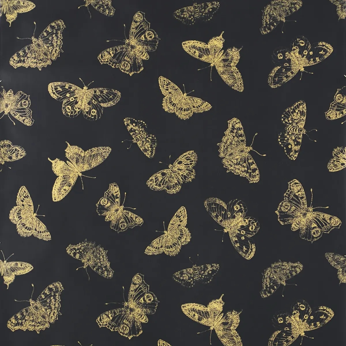 Animal Prints and Patterns by Schumacher 5011742