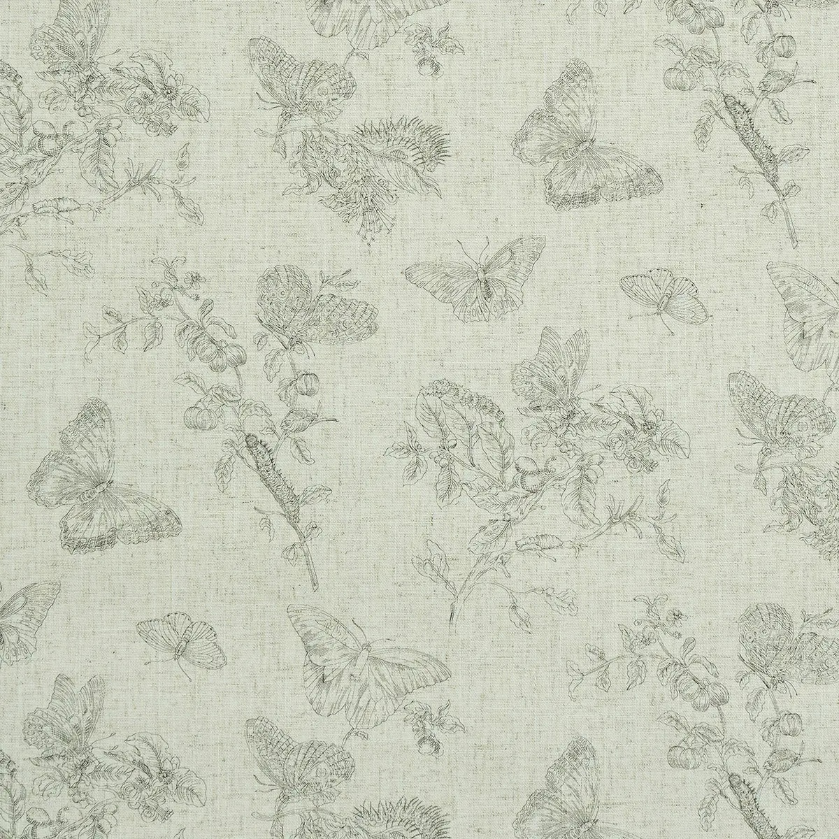 Animal Prints and Patterns by Schumacher 5011830