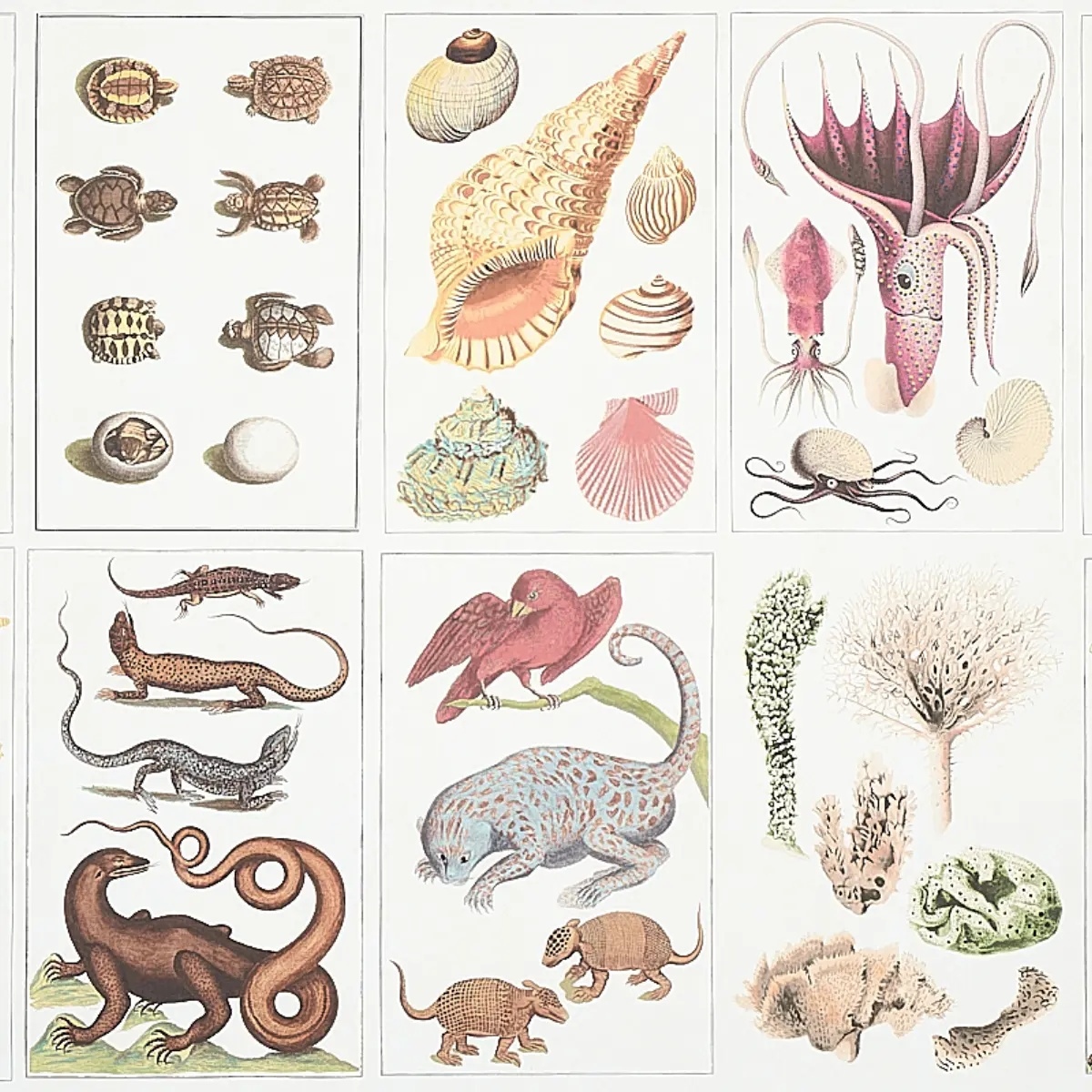 Animal Prints and Patterns by Schumacher 5012090