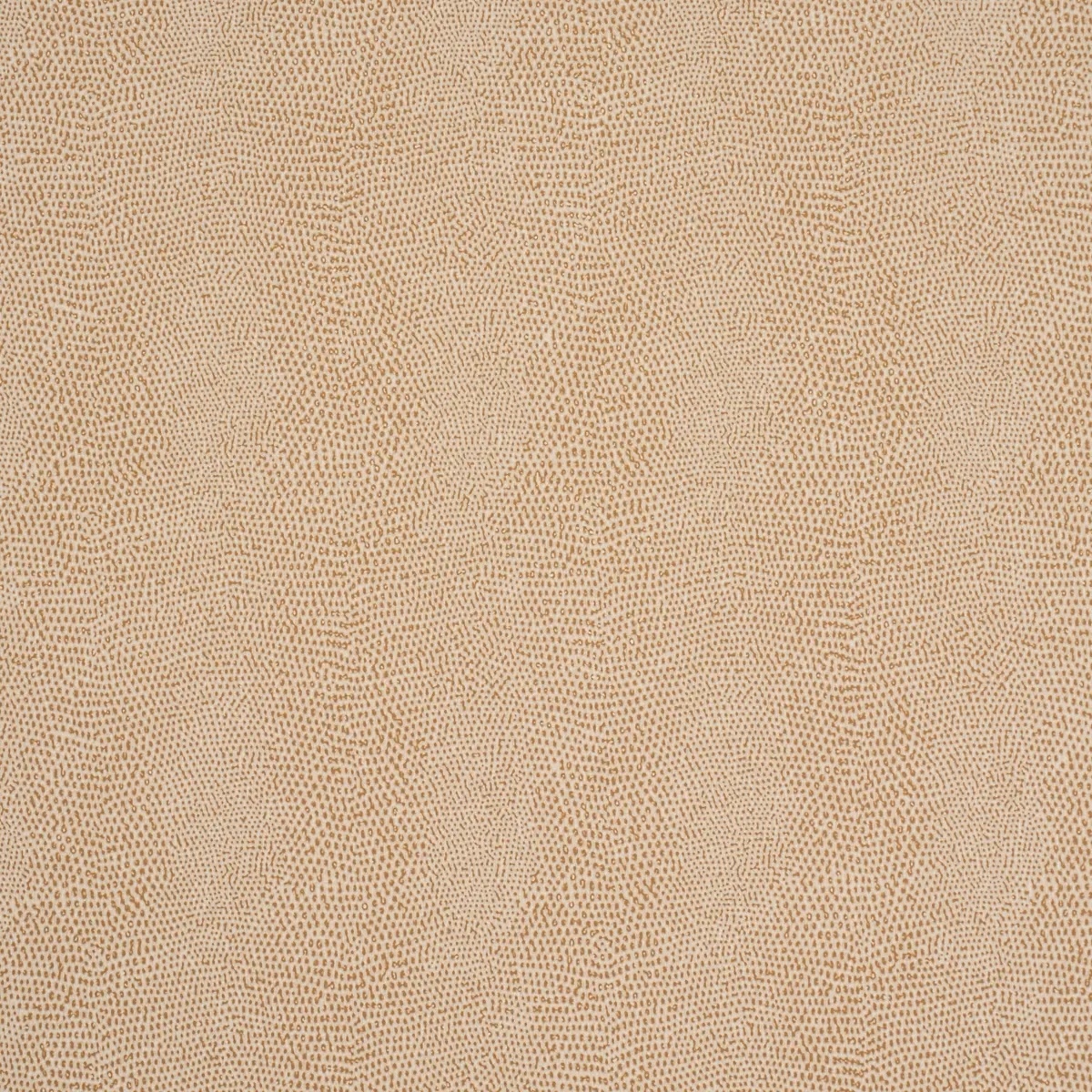 Animal Prints and Patterns by Schumacher 5017501