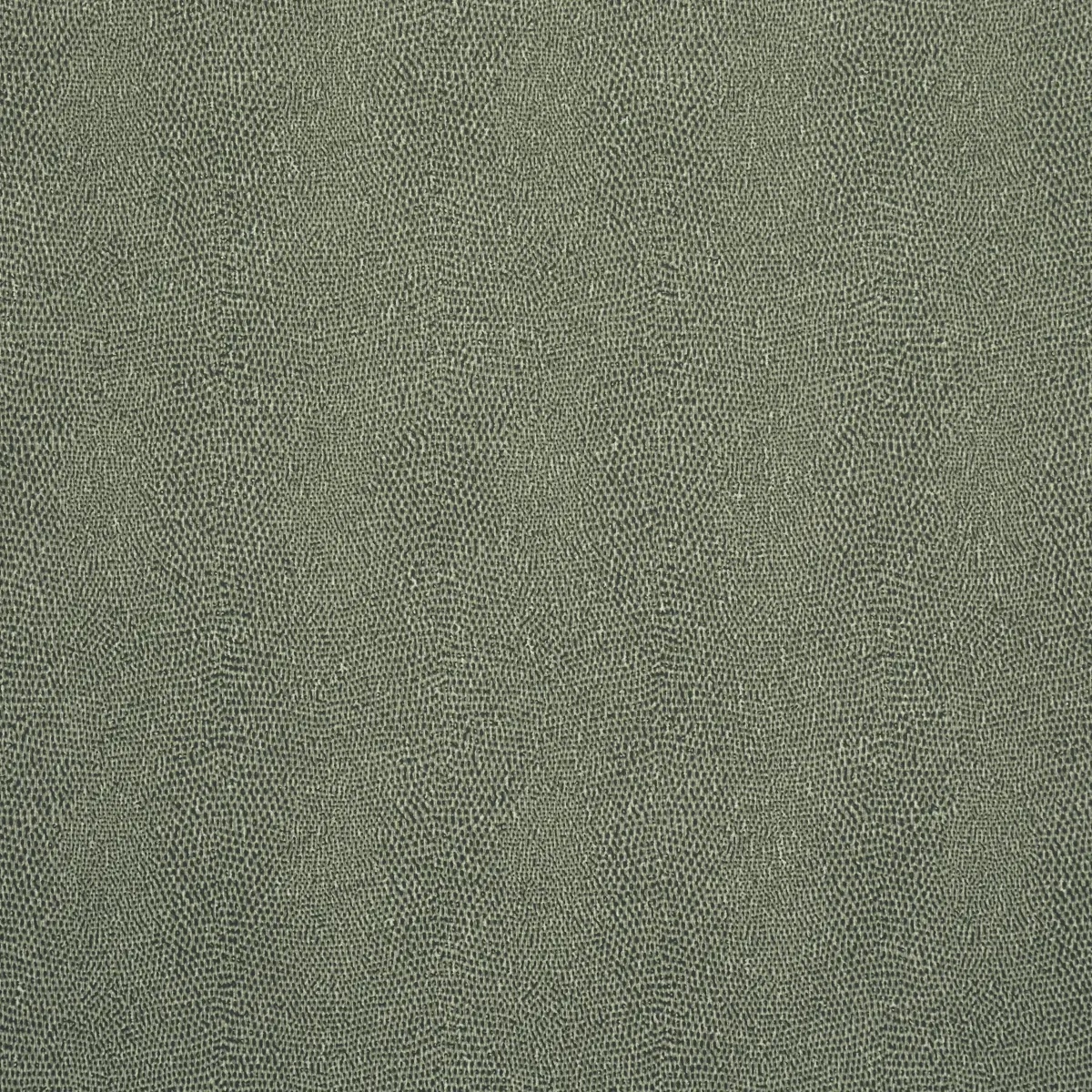 Animal Prints and Patterns by Schumacher 5017503