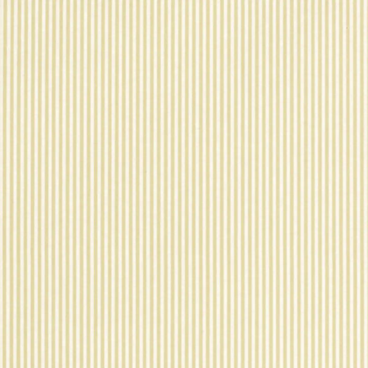 Checks and Stripes by Schumacher 203791