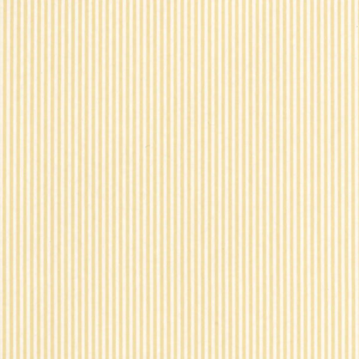 Checks and Stripes by Schumacher 203792
