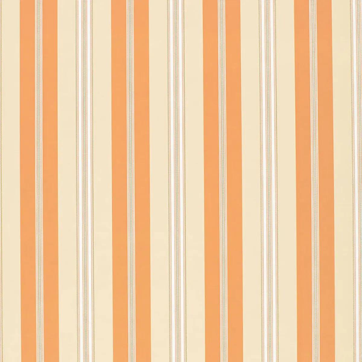 Checks and Stripes by Schumacher 5002485
