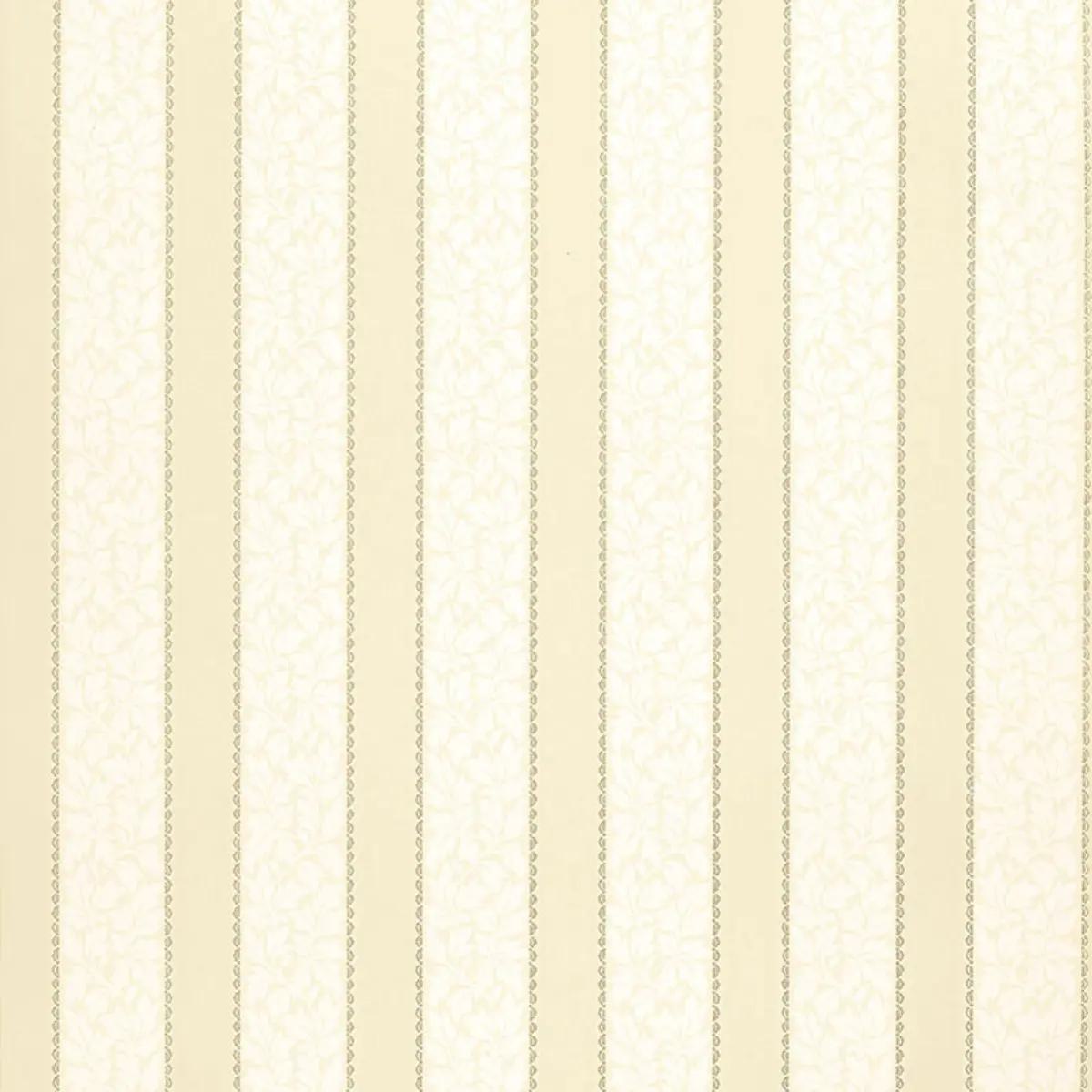 Checks and Stripes by Schumacher 5004431