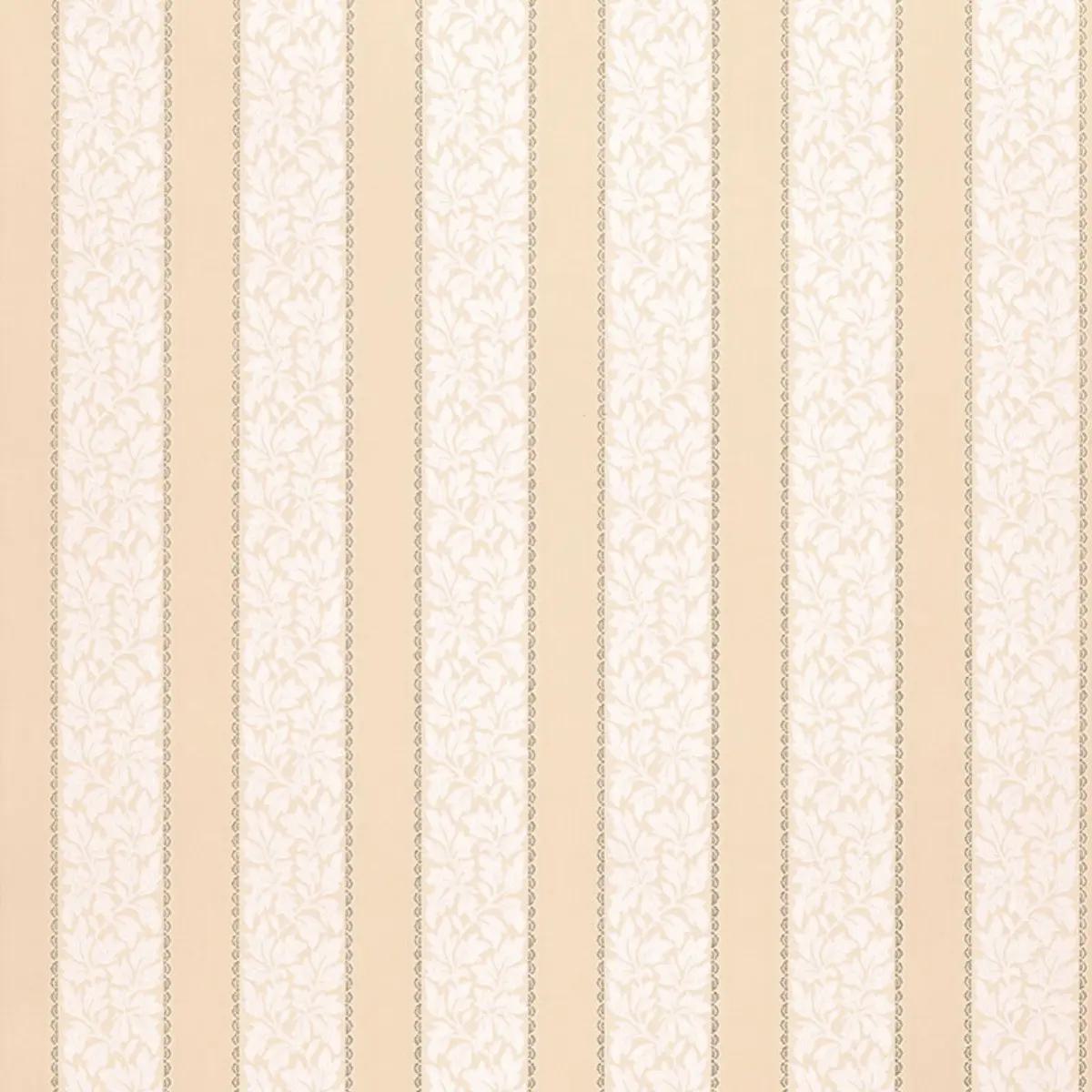 Checks and Stripes by Schumacher 5004432