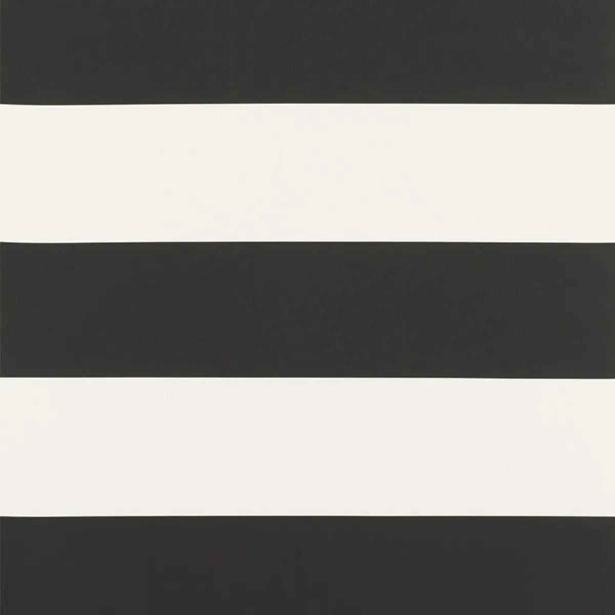 Baxter Stripe in Carbon