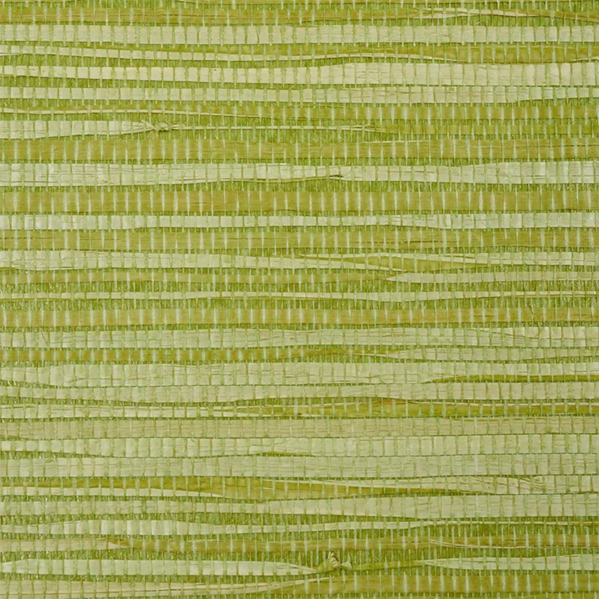 Dyed Raffia in Leaf