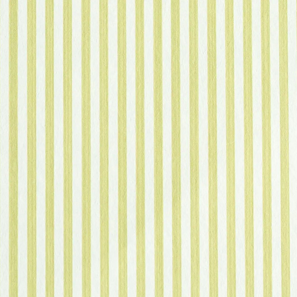 Checks and Stripes by Schumacher 5011868
