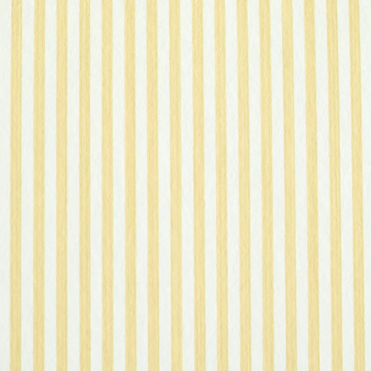 Checks and Stripes by Schumacher 5011870