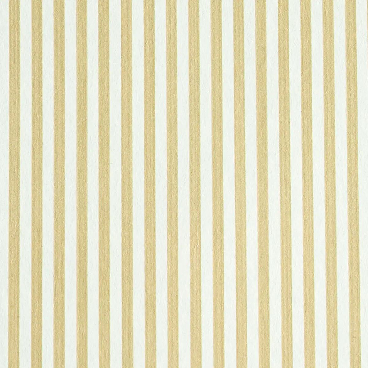 Checks and Stripes by Schumacher 5011871